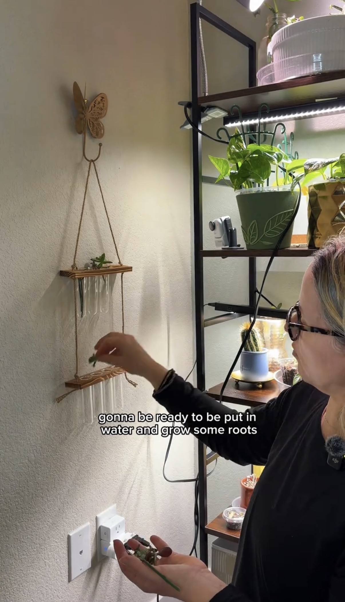 8-tube propagation station