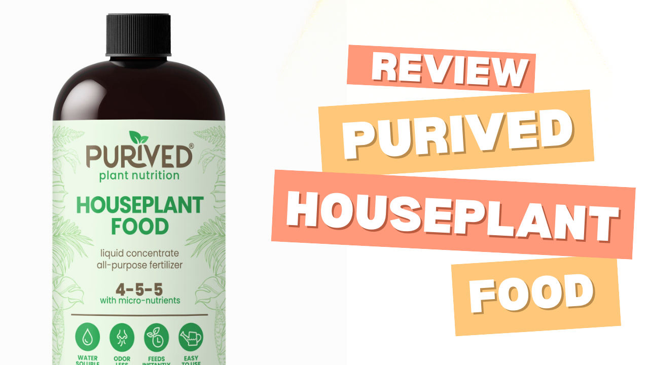 Purived Houseplant Food Review